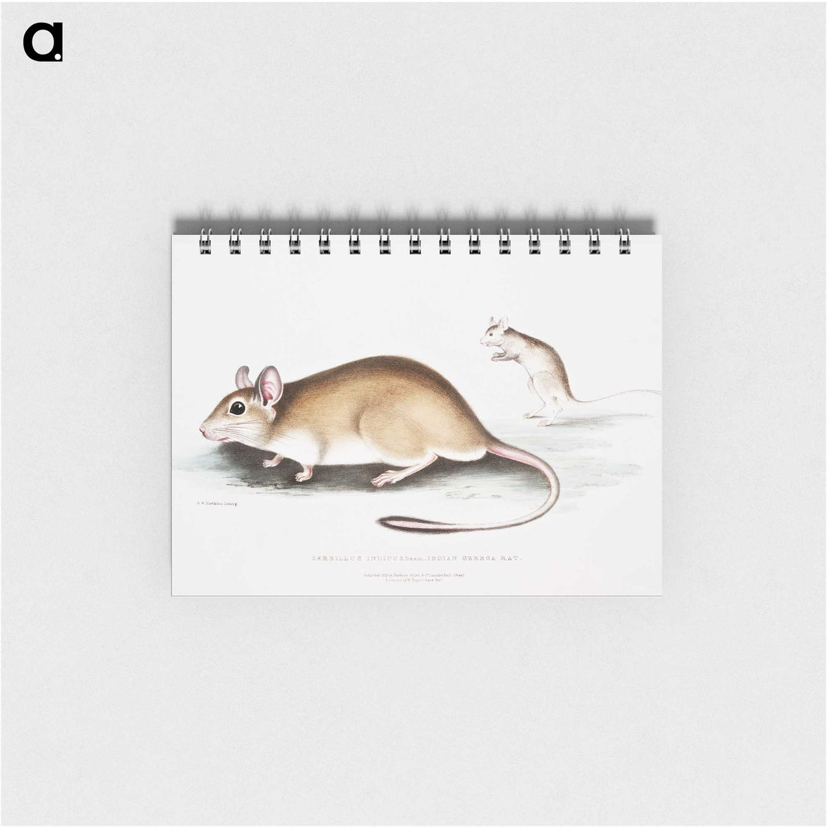 1-66_Indian-Zoology_memo