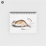 1-66_Indian-Zoology_memo