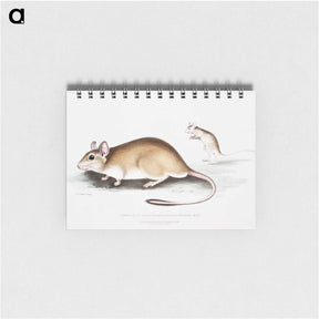 1-66_Indian-Zoology_memo