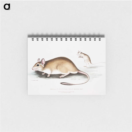 1-66_Indian-Zoology_memo