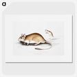 1-66_Indian-Zoology_picture