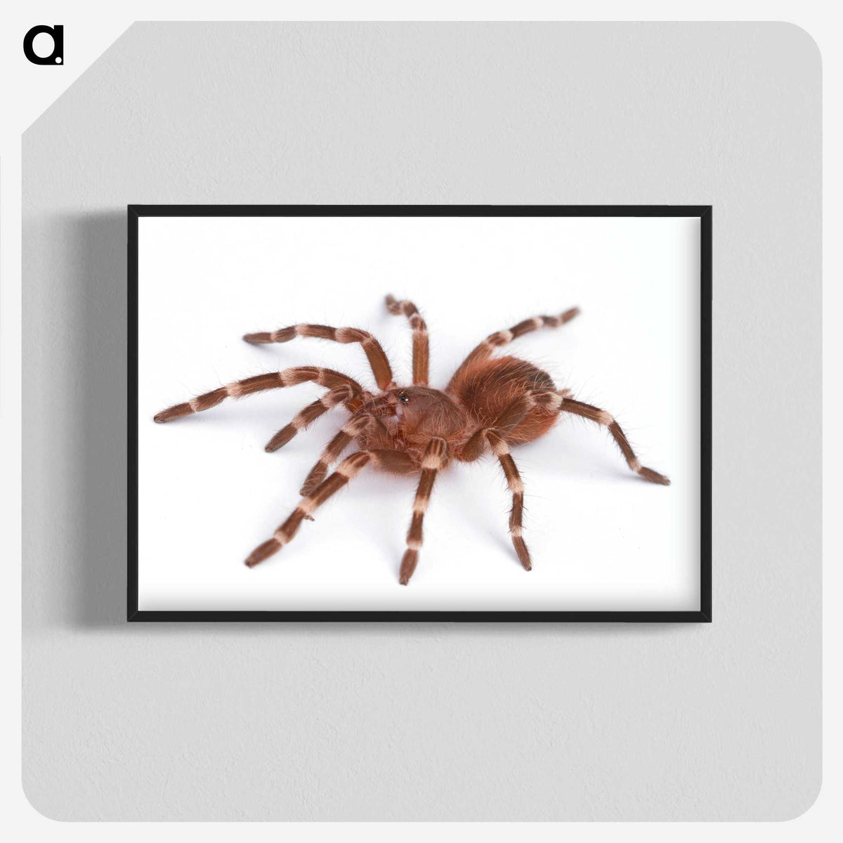 1-66_Insects-Unlocked-Project_blk-crop