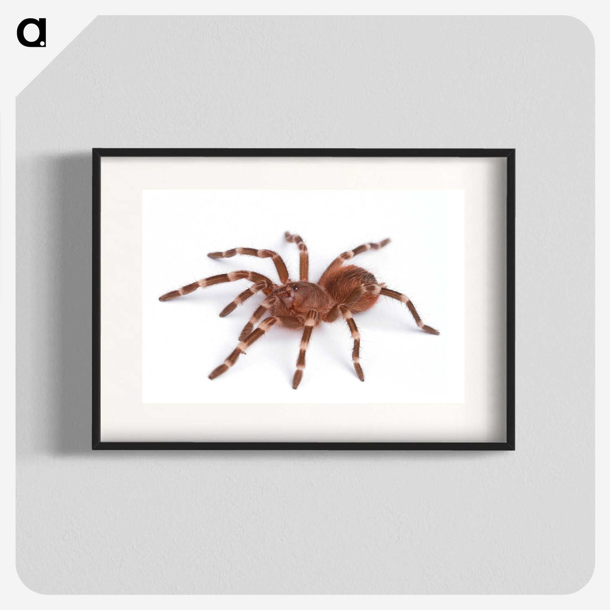 1-66_Insects-Unlocked-Project_blk