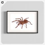 1-66_Insects-Unlocked-Project_blk