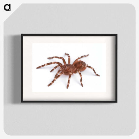 1-66_Insects-Unlocked-Project_blk