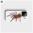 1-66_Insects-Unlocked-Project_phone