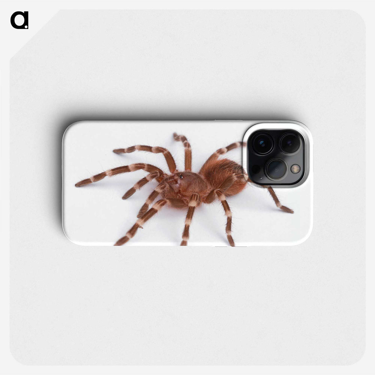 1-66_Insects-Unlocked-Project_phone