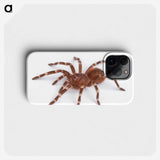 1-66_Insects-Unlocked-Project_phone