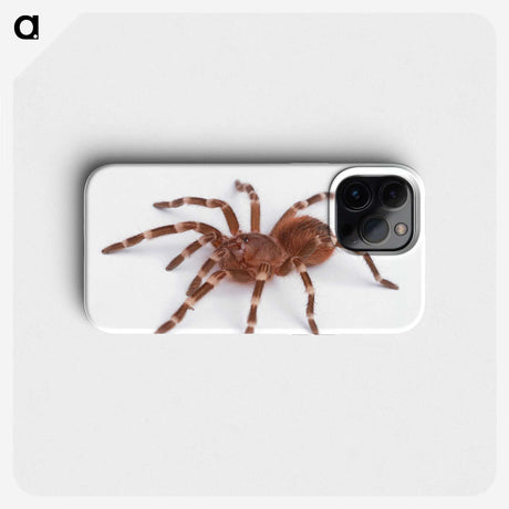 1-66_Insects-Unlocked-Project_phone