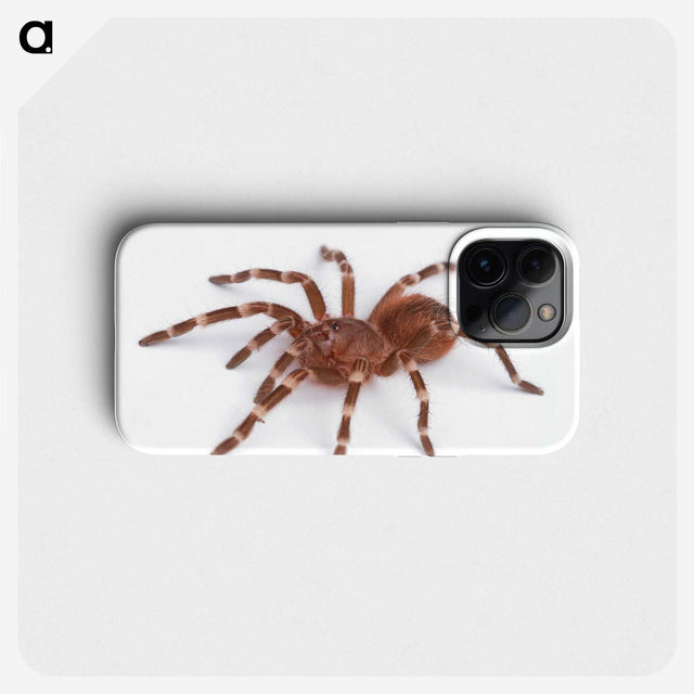 1-66_Insects-Unlocked-Project_phone