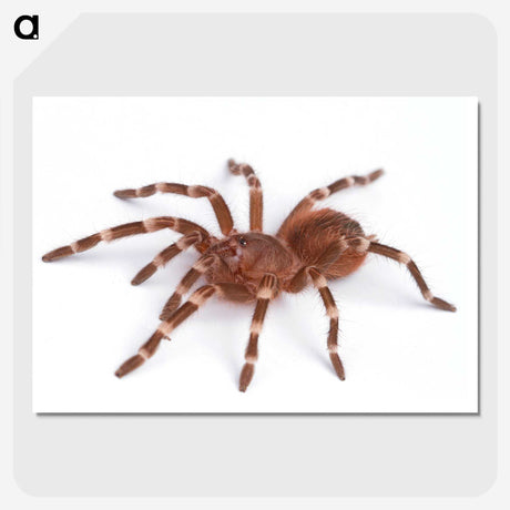1-66_Insects-Unlocked-Project_picture-crop