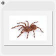 1-66_Insects-Unlocked-Project_picture