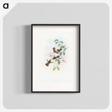 1-66_John-Gould_blk