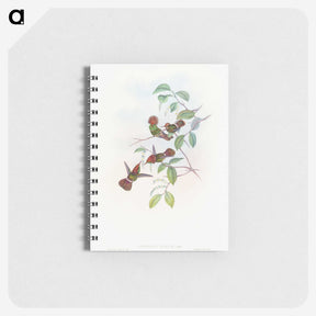 1-66_John-Gould_memo