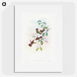 1-66_John-Gould_picture