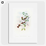 1-66_John-Gould_picture