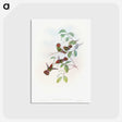 1-66_John-Gould_postcard