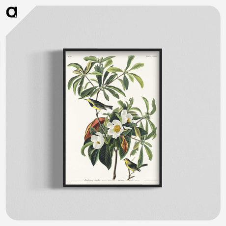 1-66_John-James-Audubon_blk-crop