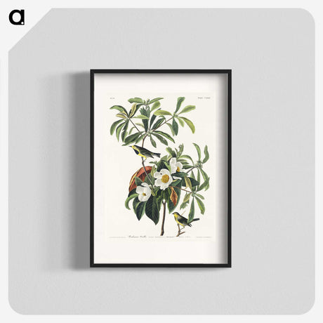 1-66_John-James-Audubon_blk
