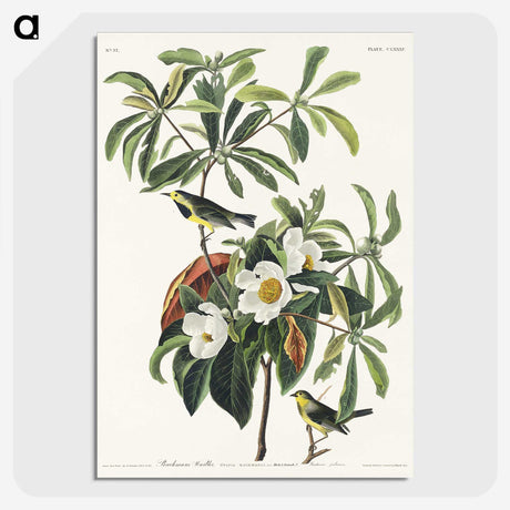 1-66_John-James-Audubon_picture-crop