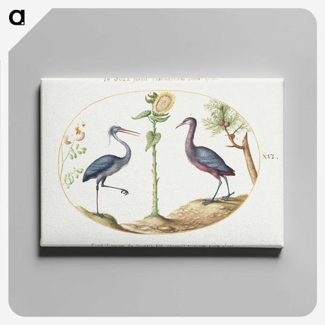 1-66_Joris-Hoefnagel_canvas