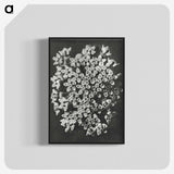 1-66_Karl-Blossfeldt_blk-crop