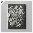 1-66_Karl-Blossfeldt_canvas