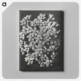 1-66_Karl-Blossfeldt_canvas
