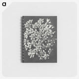 1-66_Karl-Blossfeldt_memo