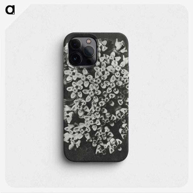 1-66_Karl-Blossfeldt_phone