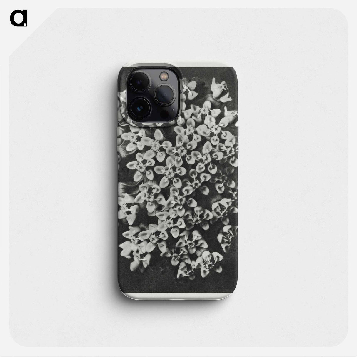 Asclepias incarnata - カール ブロスフェルト Phone Case.