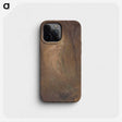 1-66_Ladislav-Mednyanszky_phone