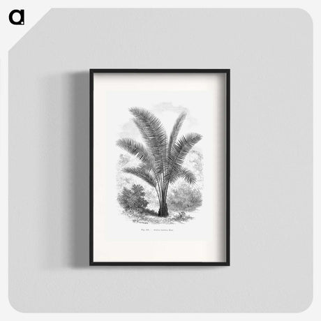 1-66_Les-Palmiers-Histoire-Iconographique_blk