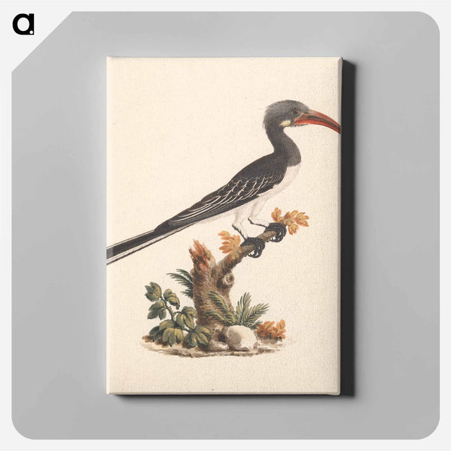 アートパネル-Hemprich's Hornbill or Crowned Hornbill
 - ルイージ バルガーニ Canvas.