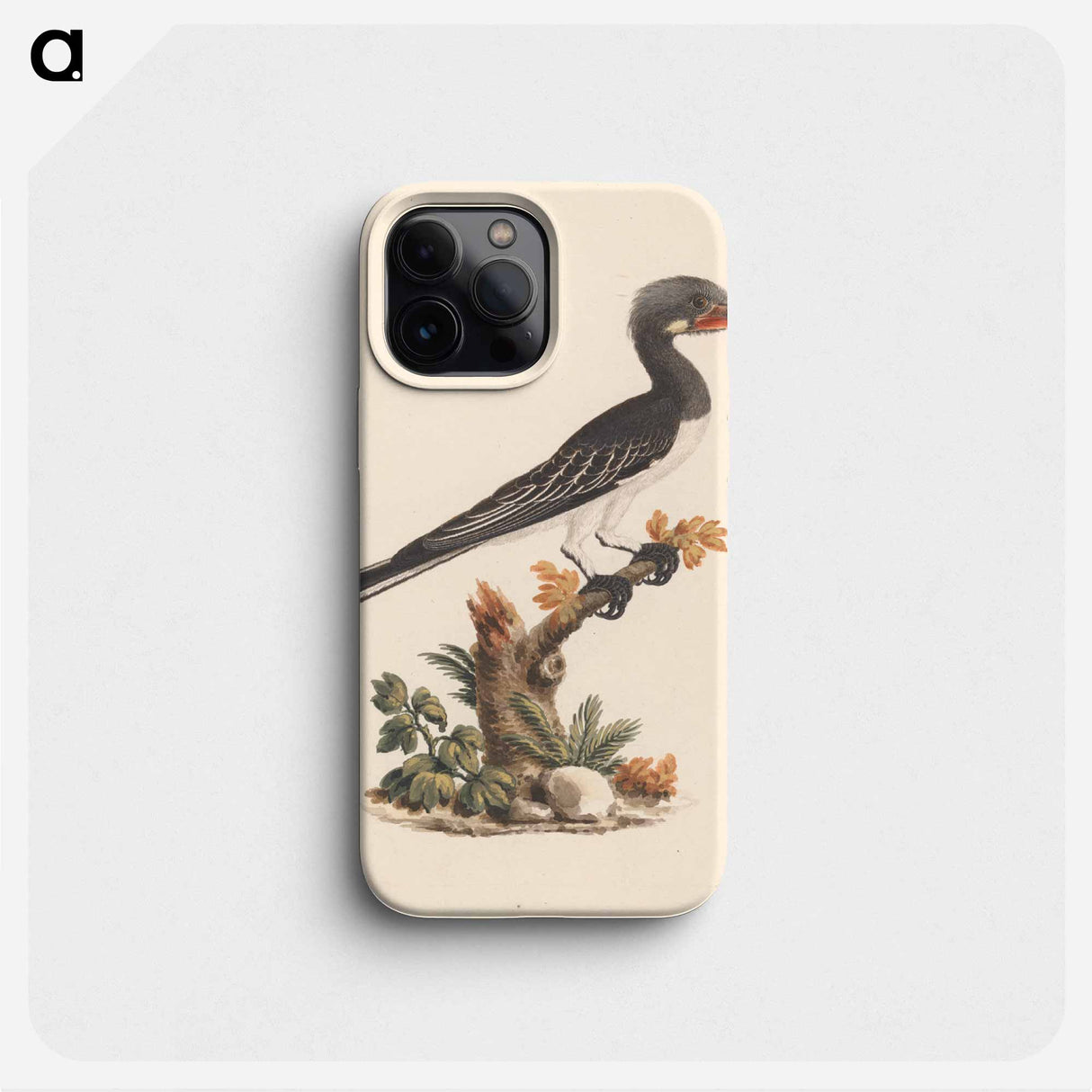 Hemprich's Hornbill or Crowned Hornbill
 - ルイージ バルガーニ Phone Case.