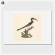1-66_Luigi-Balugani_picture
