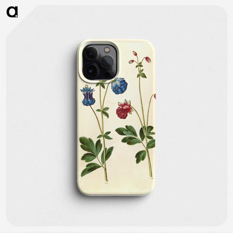 1-66_Maria-Sibylla-Merian_phone