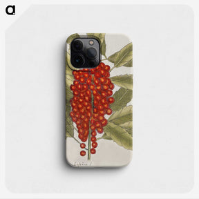 1-66_Mark-Catesby_phone