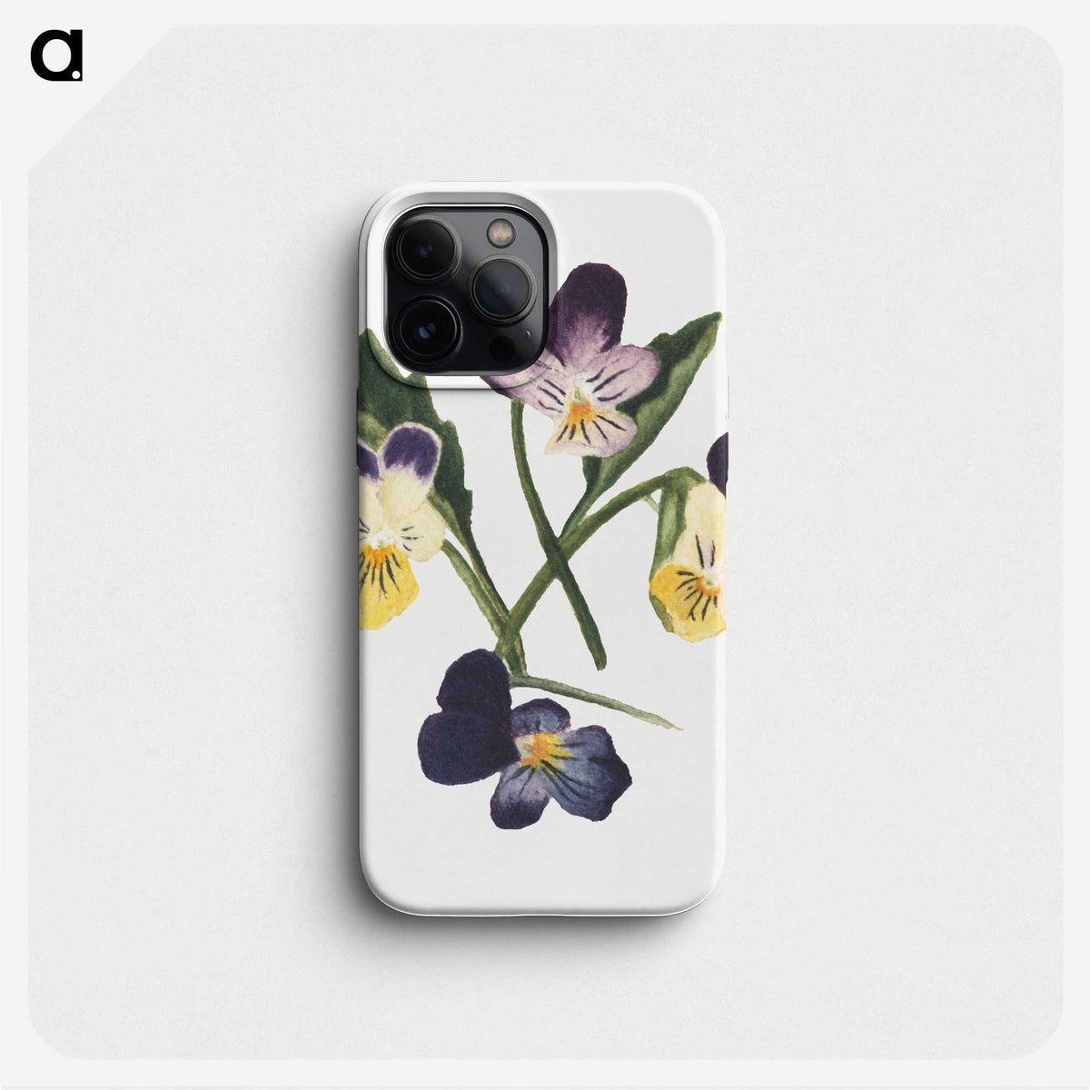 1-66_Mary-Vaux-Walcott_phone