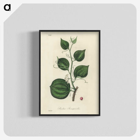 1-66_Medical-Botany_blk-crop