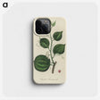 1-66_Medical-Botany_phone