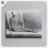 アートパネル-Dance of Death: Skeleton with Pen and Book
 - 国立医学図書館 Canvas.