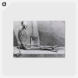 アートポストカード-Dance of Death: Skeleton with Pen and Book
 - 国立医学図書館 Postcard.
