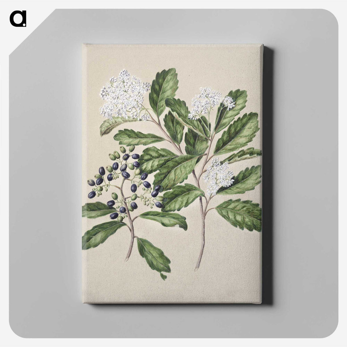 1-66_Native-Flowering-Plants-of-New-Zealand_canvas
