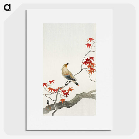 1-66_Ohara-Koson_picture