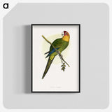 1-66_Parrots-in-Captivity_blk-crop