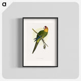 1-66_Parrots-in-Captivity_blk