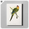1-66_Parrots-in-Captivity_canvas
