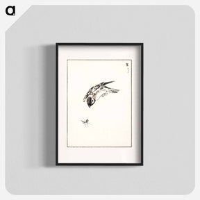 アートポスター-Sparrow Illustration
 - 鳥類図鑑 Poster.