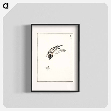 アートポスター-Sparrow Illustration
 - 鳥類図鑑 Poster.
